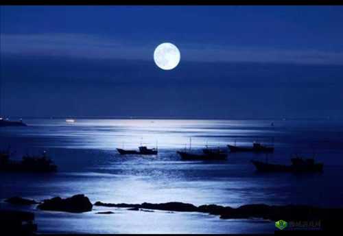 《花之诗意:探秘埃兰沙东月夜下的心月之谜》