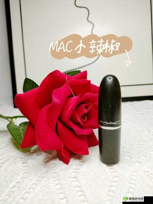 MAC 小辣椒 877 正品推荐:品质之选