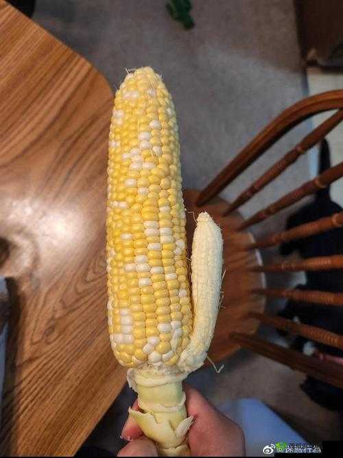 丝瓜草莓秋葵榴莲是什么?
