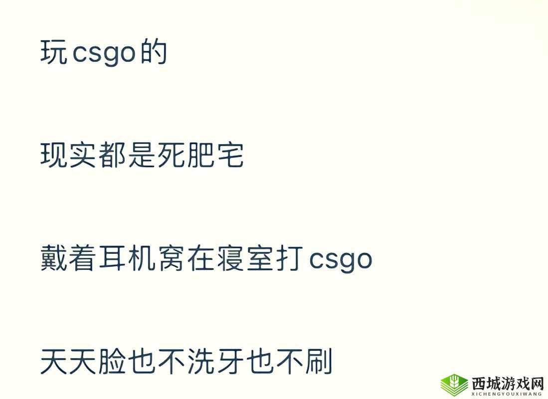 暴躁老阿姨CSGO 剧情解析:深度揭秘游戏背后的故事