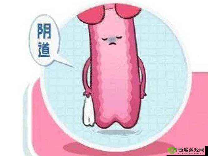 正常阴脣的样子照片视频要下架了:原因未知