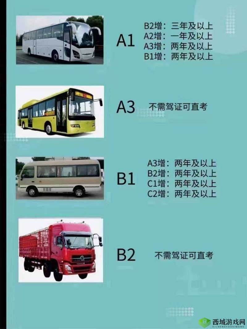 国产 A1a2a317c：关于它的介绍