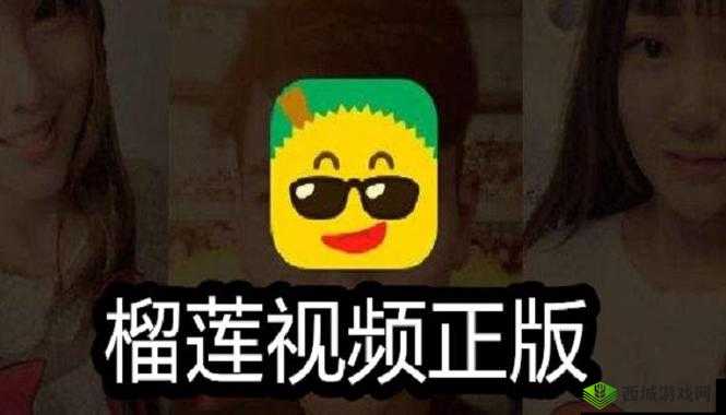 榴莲微视app网站下载:开启精彩视频之旅