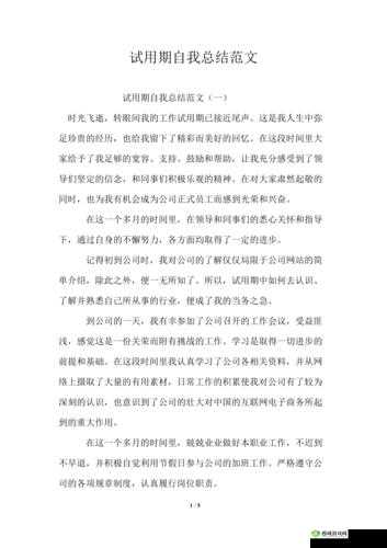 试用后发言:我的真实感受