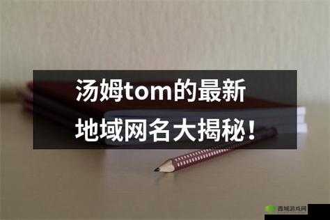 汤姆视频最新地域网名取名技巧:实用指南