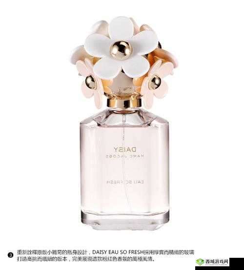 小雏菊是什么牌子：相关品牌介绍