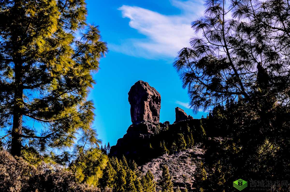 一个在上面吃一个在下面做那个:奇景