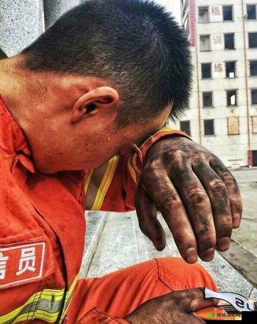 当消防员是否会剪蛋蛋上毛:常见疑问探讨