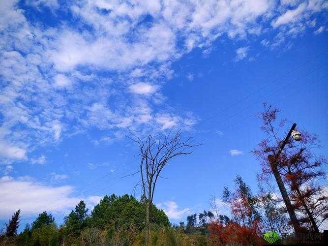 成品人和精品人的区别四叶草迎来了倒数计时:深度剖析