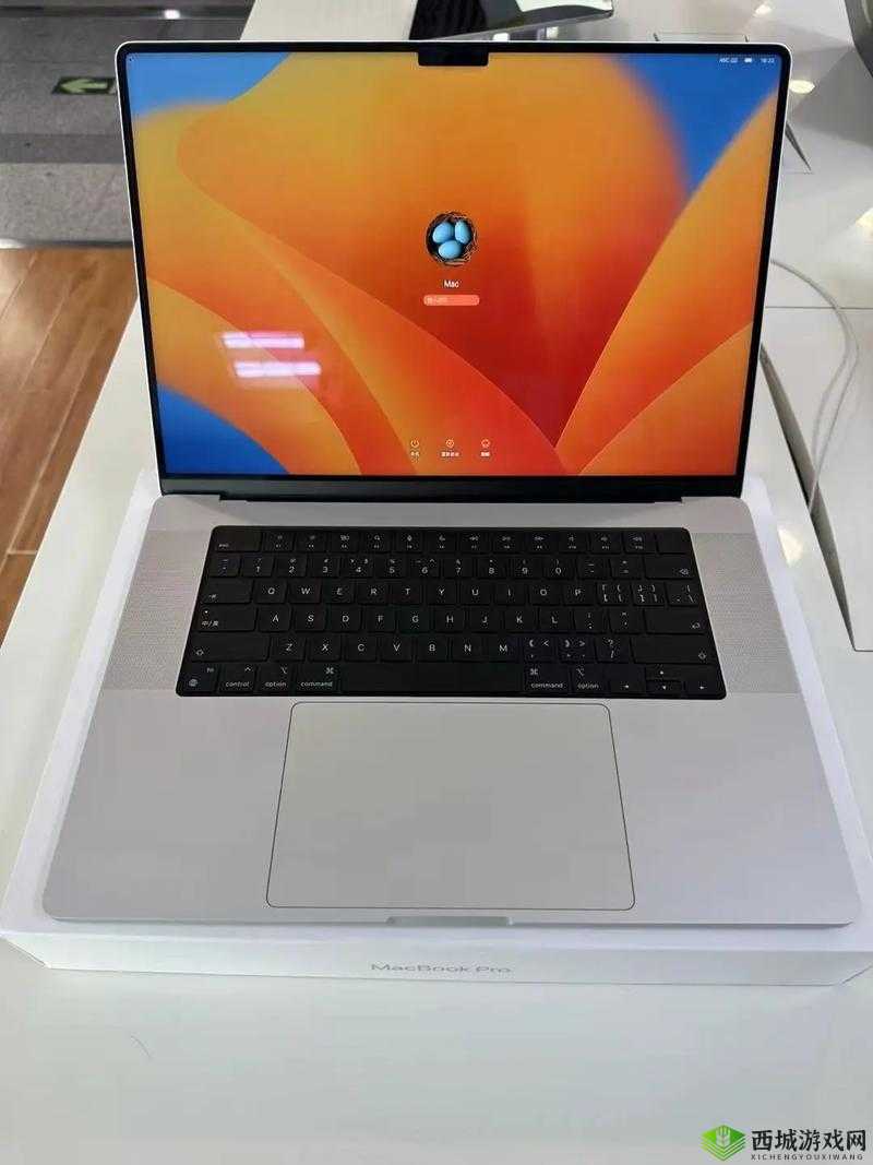 1316 岁 macbookpro 在线:全新体验来袭