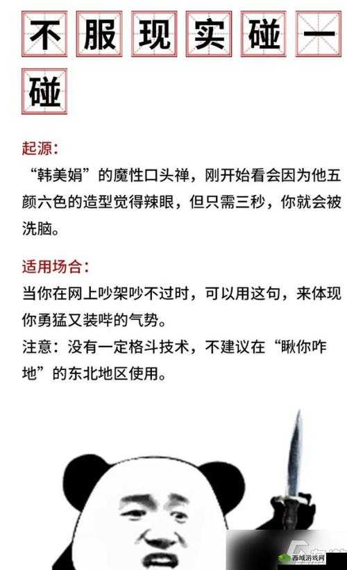 荷兰:黑料反差婊,人设崩塌的真相