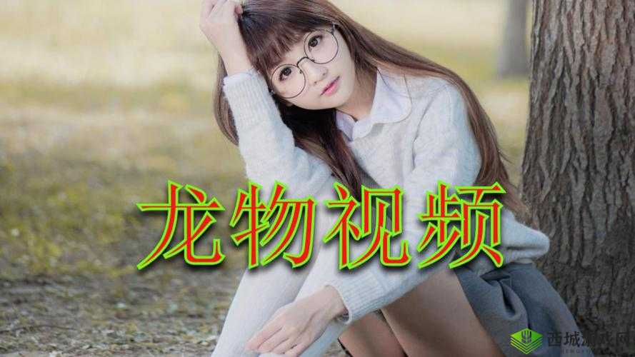yw1139 龙物视跳转界面:精彩内容等你来探索