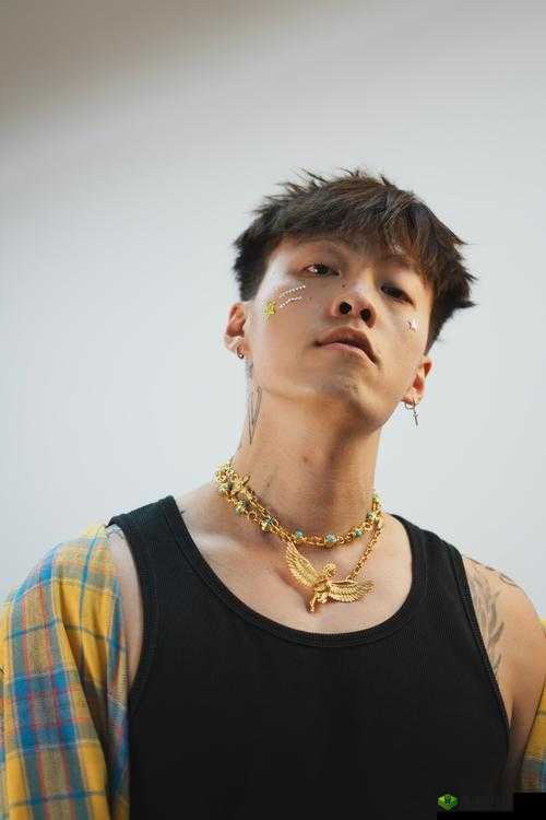 日本最强rapper 潮水网站:探索日本说唱音乐的热潮