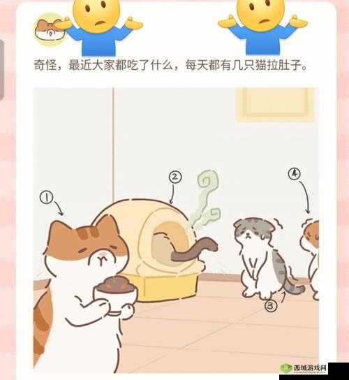 小森生活里的喵趣横生,解锁猫盖饭的美味秘籍