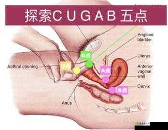 欧美舔阴视频:探索性爱的极致体验
