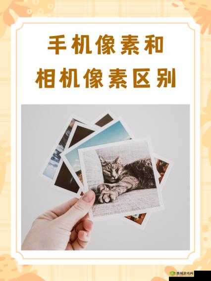 手机与单反的对比,在资源管理中的智慧运用