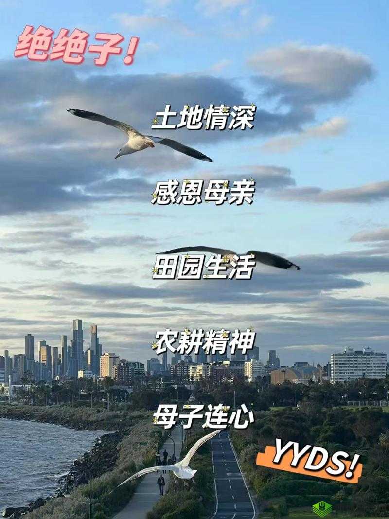 儿子耕种母亲的田地的寓意视频：传承与感恩的深刻诠释