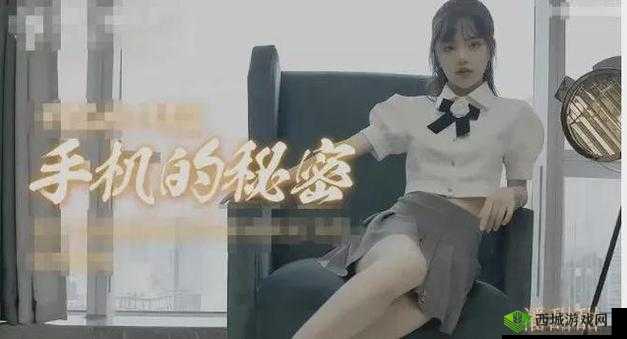 国产精品密入口麻豆潘甜甜:她的魅力与故事