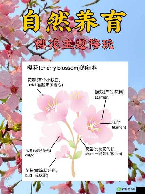 樱花 immionne 官网怎么进入:进入官网探索更多精彩内容