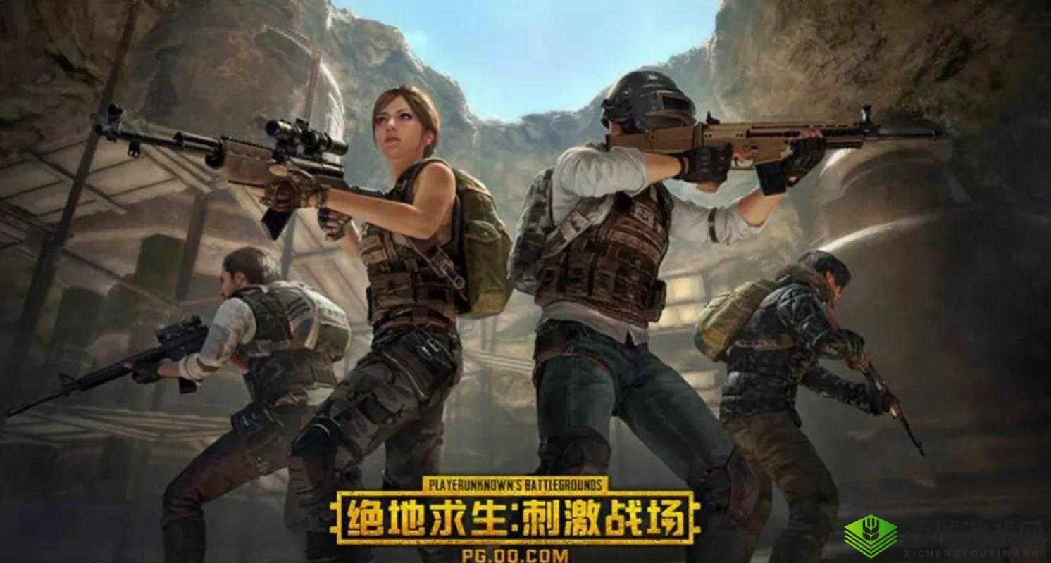 绝地求生刺激战场新手必读游戏规则分享,资源管理的艺术