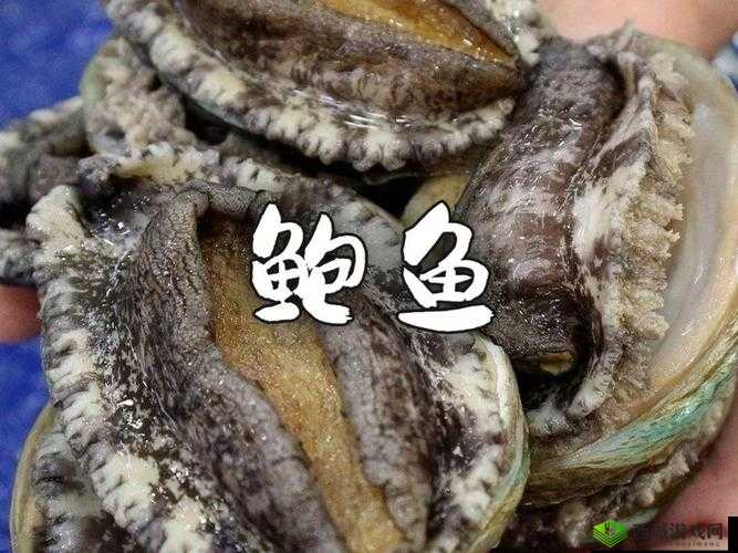 你的鲍鱼里会有别人的酸奶吗?这其中究竟隐藏着怎样的秘密