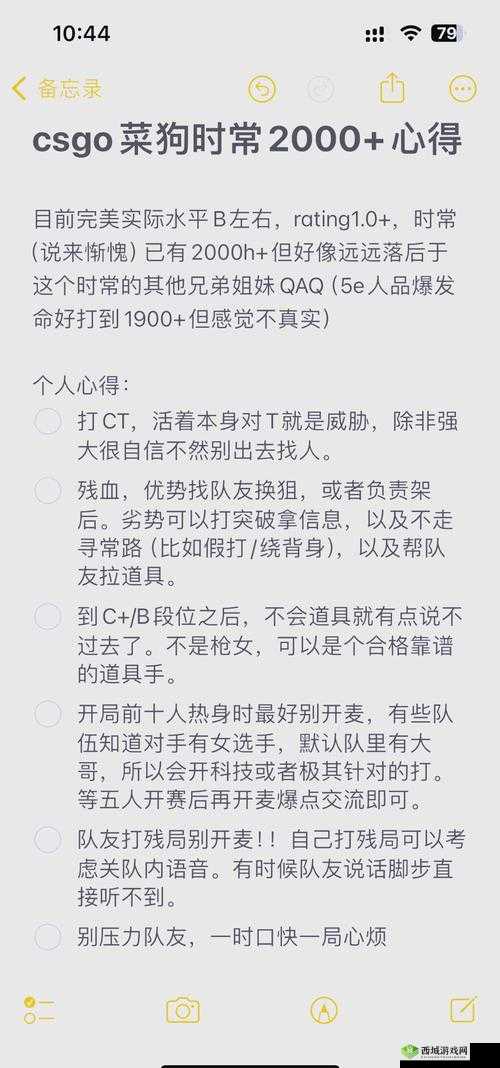 暴躁妹妹CSGO独特玩法揭秘:令人惊叹的游戏技巧分享