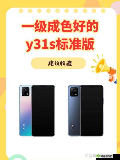 y31 成色好的：一款备受青睐的优质产品