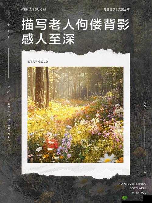 关于人文艺术 344447 老人,其背后有着怎样的故事和独特魅力?快来一探究竟