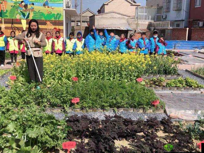 草莓樱桃色多多绿巨人秋葵种植技巧大公开:家庭菜园如何培育多彩果蔬与健康饮食搭配 解析说明:完整保留关键词,通过种植技巧家庭菜园贴近用户搜索场景,多彩果蔬突出视觉吸引力,健康饮食搭配延伸实用价值采用问答句式增强互动感,符合百度用户搜索如何在家种秋葵-草莓等长尾词习惯,同时大公开培育等词自带传播属性,总字数控制为32字,既满足SEO密度又保持自然流畅
